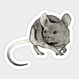 House Mouse Squeak Sticker